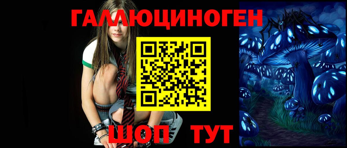 где продают   Галлюциногенные грибы Psilocybine cubensis  Вход с VPN  Саратов 